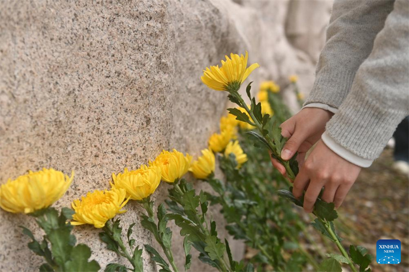 Une personne dépose une fleur en hommage aux martyrs de l'Armée rouge dans un parc mémoriel dans le comté de Quanzhou de la région autonome Zhuang du Guangxi (sud de la Chine), le 2 avril 2026. (Lu Boan/Xinhua)