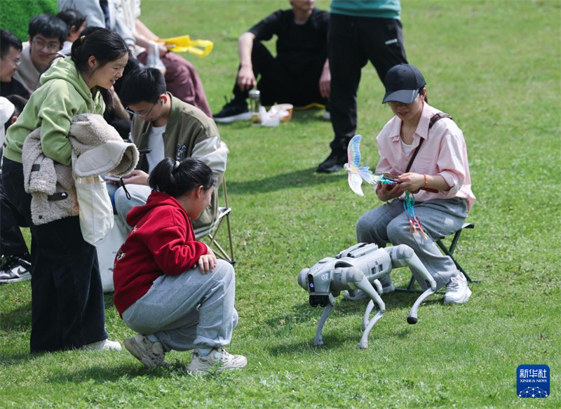 Zhejiang : le festival de cerfs-volants « Brise printanière sur dix lieues » dynamise le tourisme rural