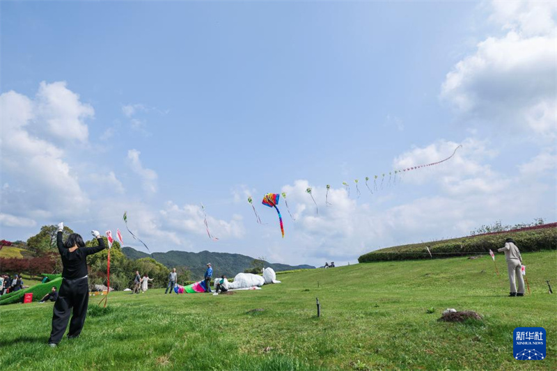 Zhejiang : le festival de cerfs-volants « Brise printanière sur dix lieues » dynamise le tourisme rural