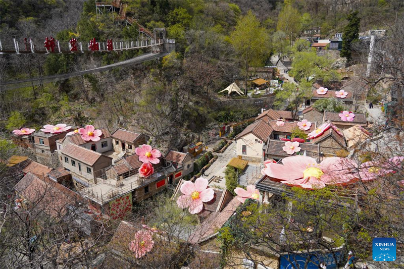 Shandong : le tourisme autour des fleurs renforce les revenus des habitants