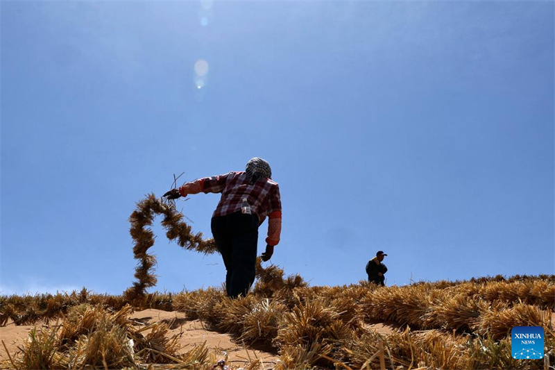 Ningxia : l'amélioration des barrières contre le sable du désert de Tengger à Zhongwei