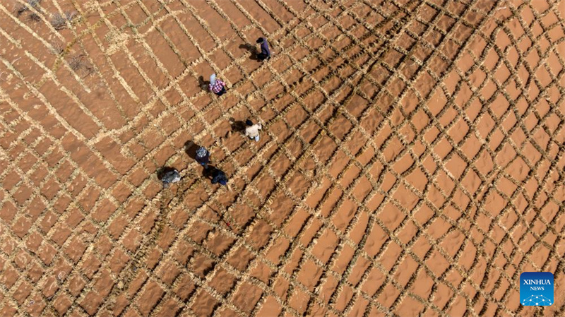 Ningxia : l'amélioration des barrières contre le sable du désert de Tengger à Zhongwei