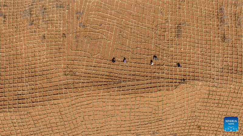 Ningxia : l'amélioration des barrières contre le sable du désert de Tengger à Zhongwei