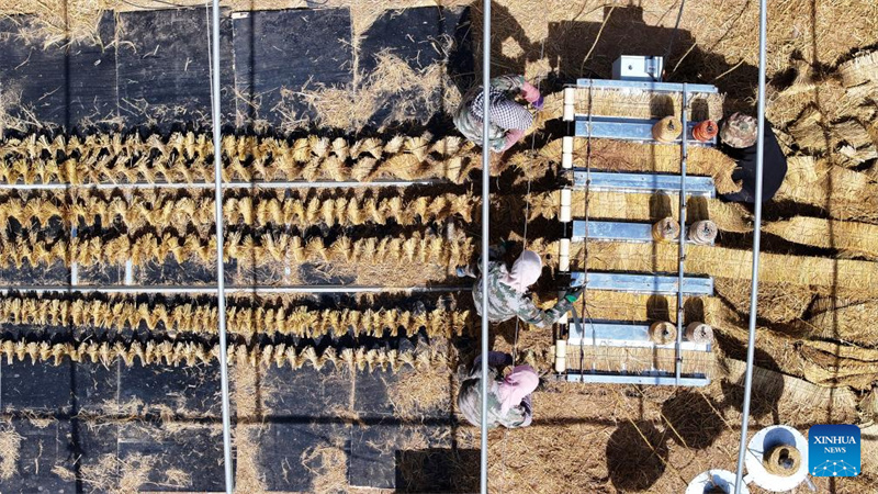 Ningxia : l'amélioration des barrières contre le sable du désert de Tengger à Zhongwei