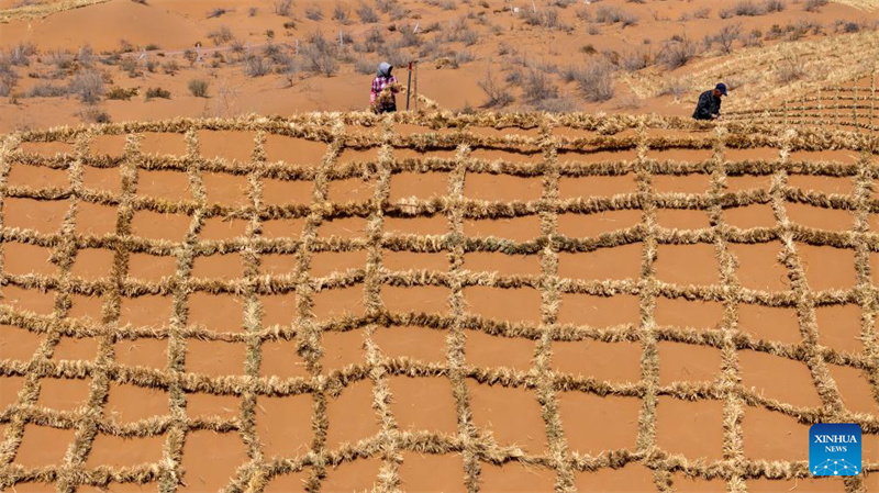 Ningxia : l'amélioration des barrières contre le sable du désert de Tengger à Zhongwei