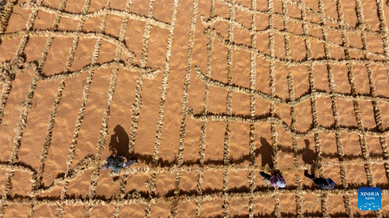 Ningxia : l'amélioration des barrières contre le sable du désert de Tengger à Zhongwei