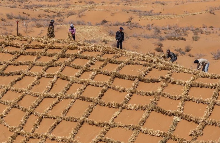 Ningxia : l'amélioration des barrières contre le sable du désert de Tengger à Zhongwei