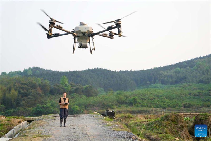 Hunan : une nouvelle agricultrice apporte innovation et compétences sur le terrain à Chenzhou