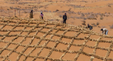 Ningxia : l'amélioration des barrières contre le sable du désert de Tengger à Zhongwei