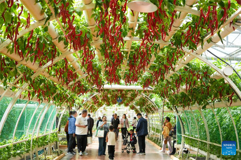 Shandong : ouverture d'une exposition internationale sur la science et la technologie des légumes à Shouguang