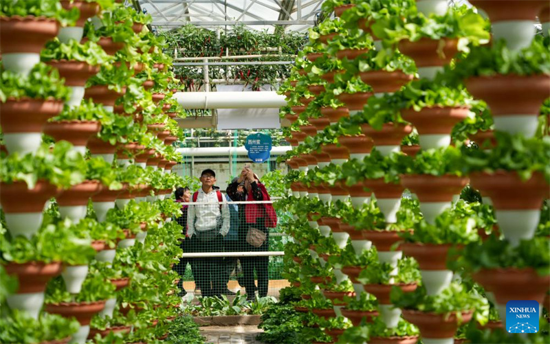 Shandong : ouverture d'une exposition internationale sur la science et la technologie des légumes à Shouguang
