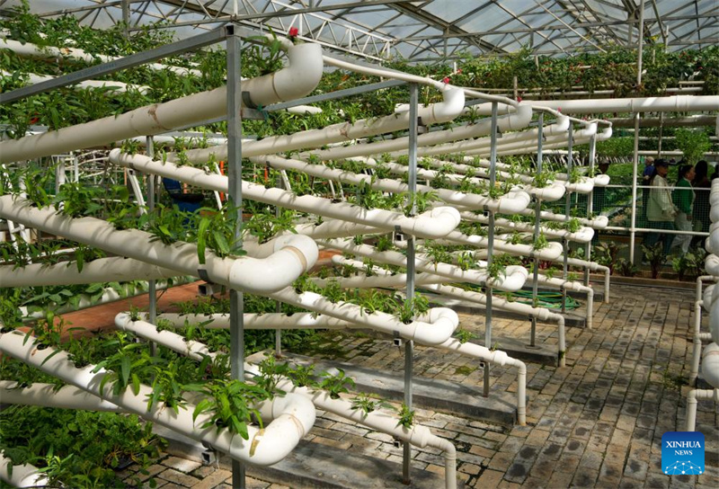Shandong : ouverture d'une exposition internationale sur la science et la technologie des légumes à Shouguang