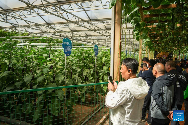 Shandong : ouverture d'une exposition internationale sur la science et la technologie des légumes à Shouguang