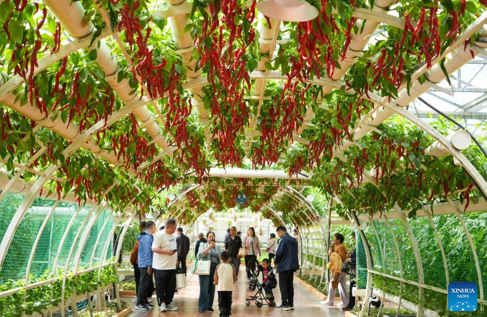 Shandong : ouverture d'une exposition internationale sur la science et la technologie des légumes à Shouguang