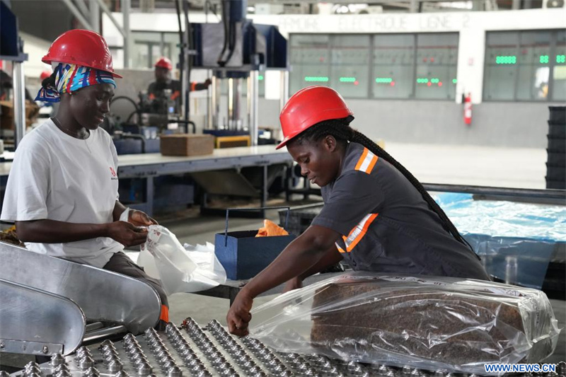 La politique de zéro droit de douane ouvre de nouvelles perspectives au caoutchouc ivoirien