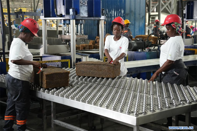 La politique de zéro droit de douane ouvre de nouvelles perspectives au caoutchouc ivoirien