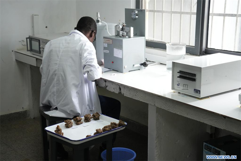 La politique de zéro droit de douane ouvre de nouvelles perspectives au caoutchouc ivoirien