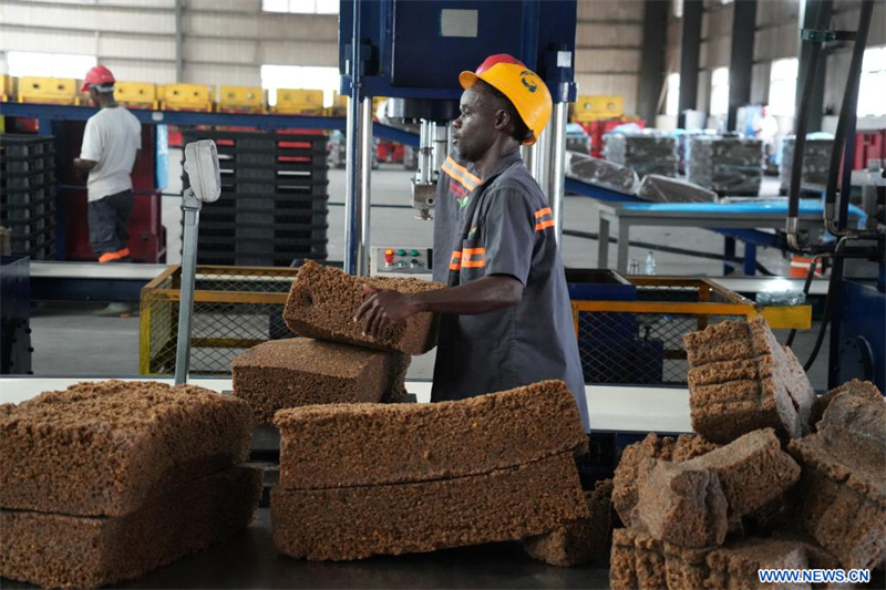 La politique de zéro droit de douane ouvre de nouvelles perspectives au caoutchouc ivoirien