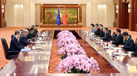 Le plus haut législateur chinois rencontre un vice-président du Parlement européen