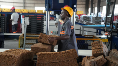 La politique de zéro droit de douane ouvre de nouvelles perspectives au caoutchouc ivoirien