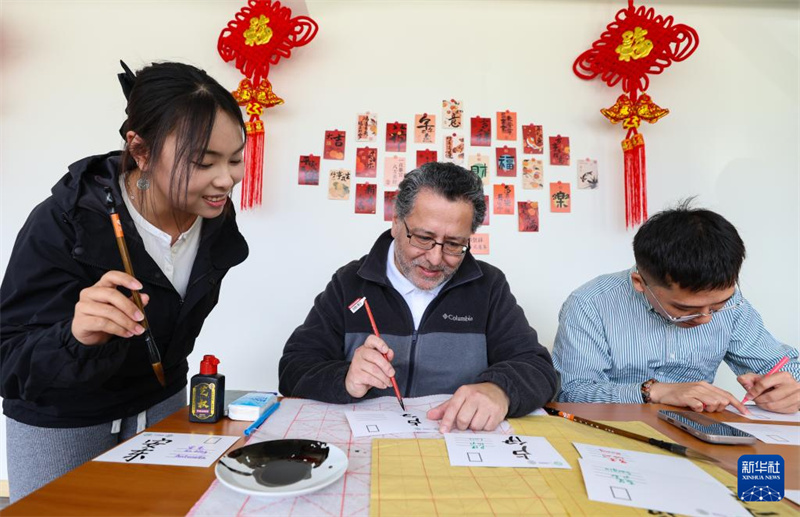 Des célébrations de la « Journée internationale de la langue chinoise » ont eu lieu dans plusieurs pays