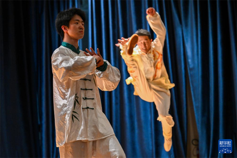 Des célébrations de la « Journée internationale de la langue chinoise » ont eu lieu dans plusieurs pays