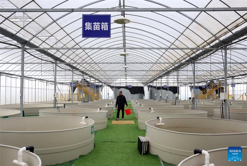 Jiangsu : l'industrie de l'écrevisse est florissante à Xuyi