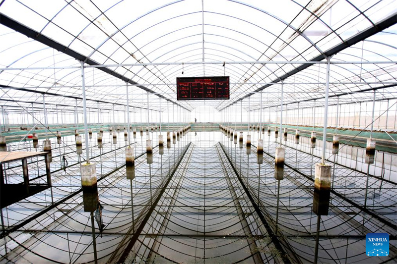 Jiangsu : l'industrie de l'écrevisse est florissante à Xuyi