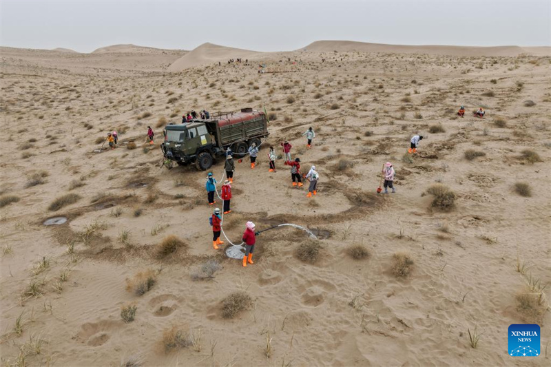 Gansu : des volontaires construisent un avenir vert sur les terres sablonneuses de Minqin