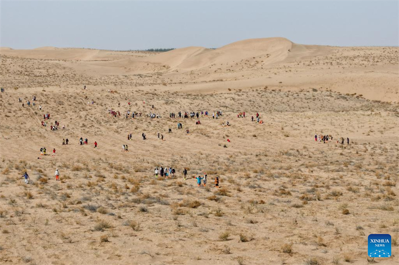 Gansu : des volontaires construisent un avenir vert sur les terres sablonneuses de Minqin