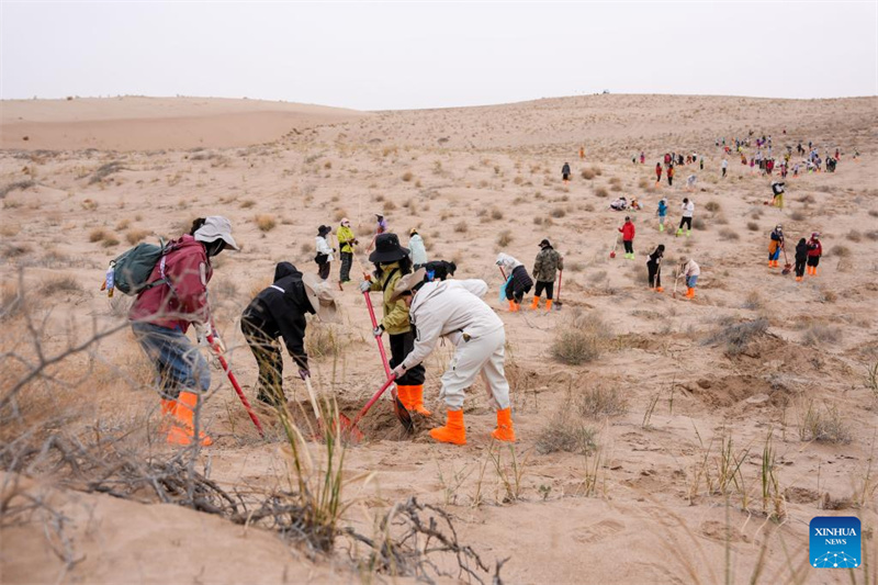Gansu : des volontaires construisent un avenir vert sur les terres sablonneuses de Minqin