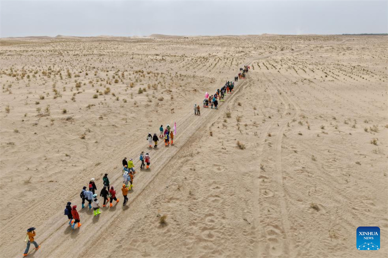 Gansu : des volontaires construisent un avenir vert sur les terres sablonneuses de Minqin