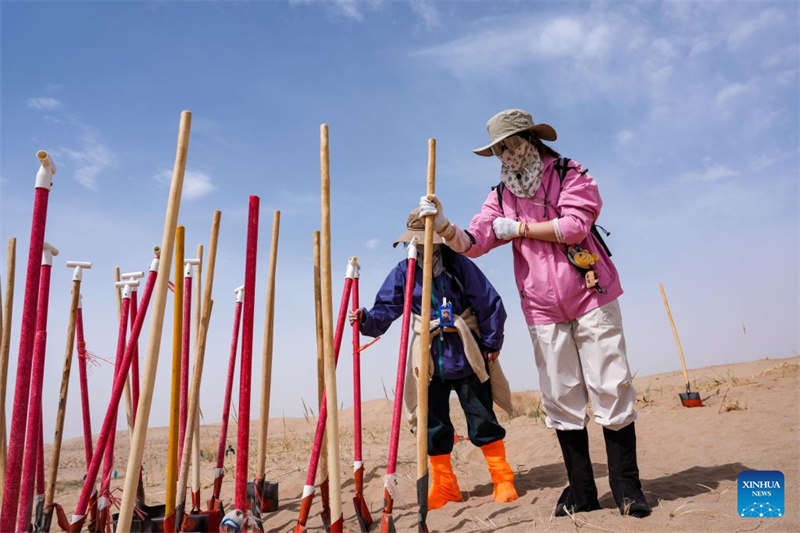 Gansu : des volontaires construisent un avenir vert sur les terres sablonneuses de Minqin