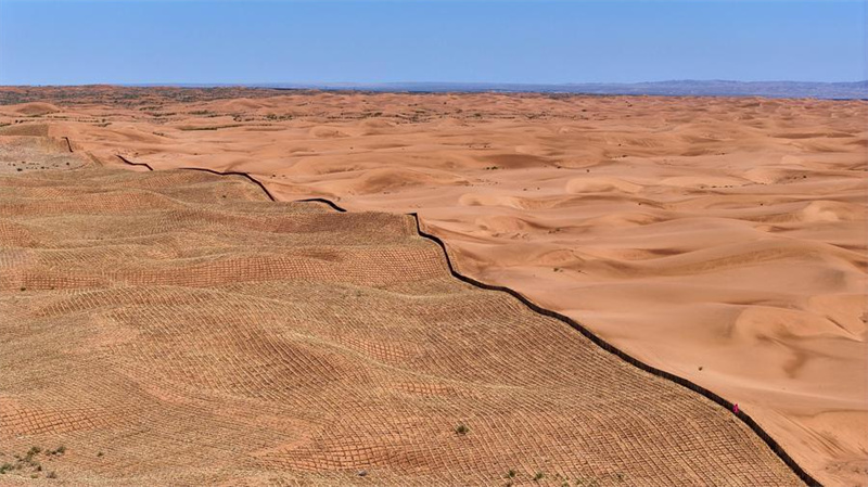 La Chine fait des progrès majeurs dans la lutte contre la désertification et partage ce qu'elle a appris avec le monde