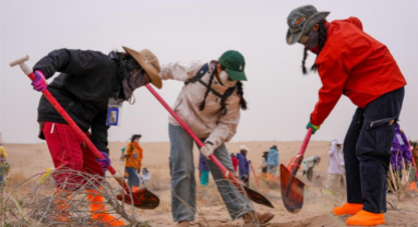 Gansu : des volontaires construisent un avenir vert sur les terres sablonneuses de Minqin