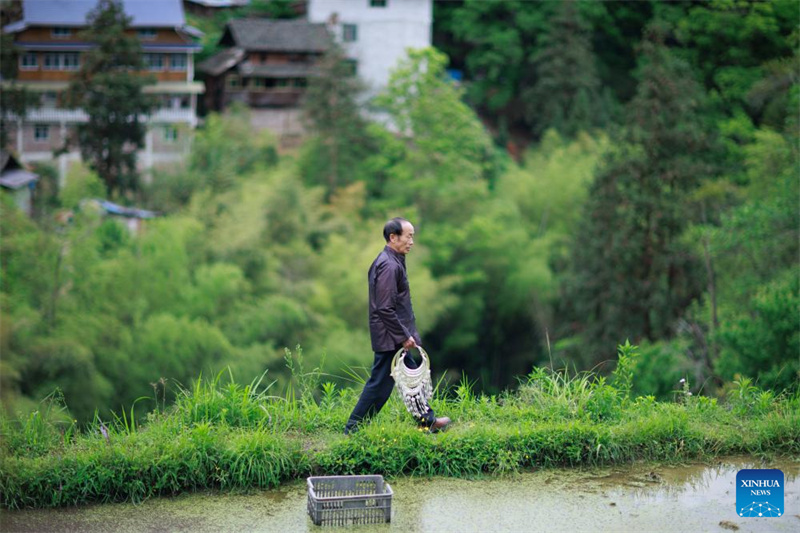 Guizhou : un aperçu des ornements en argent de l'ethnie Dong à Liping