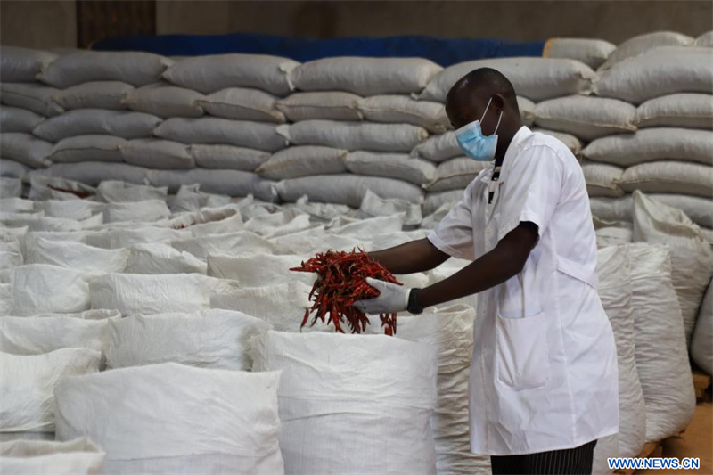 Au Rwanda, les producteurs de piments bénéficient de la politique chinoise d'exemption de droits de douane