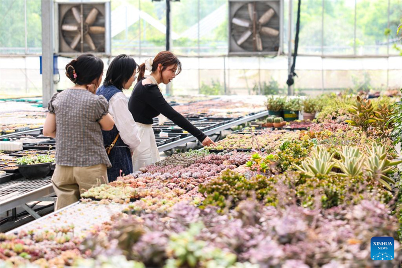 Zhejiang : Hangzhou développe des projets de tourisme culturel rural pour attirer les touristes