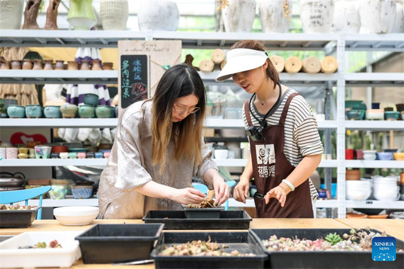 Zhejiang : Hangzhou développe des projets de tourisme culturel rural pour attirer les touristes