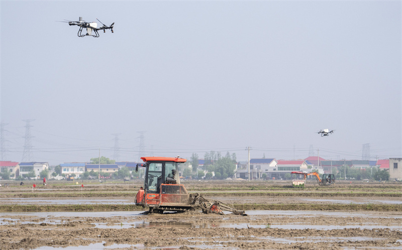 Hunan : une ferme rizicole de Changsha choisit une option intelligente