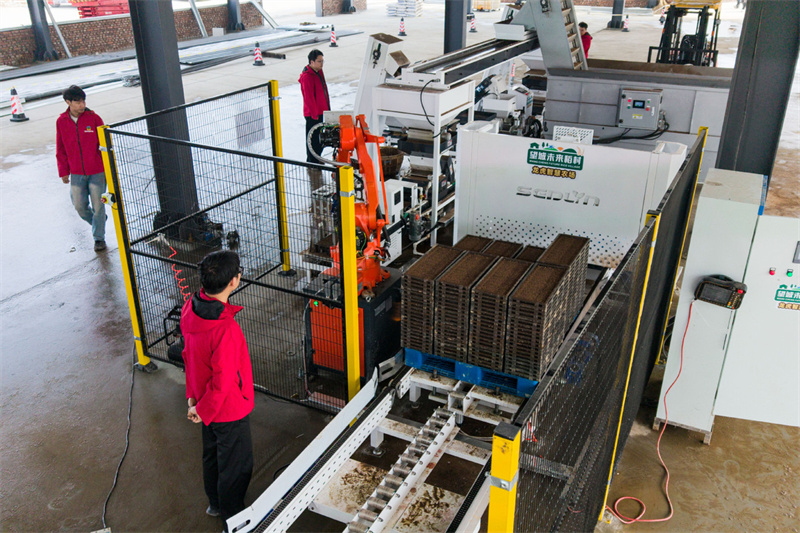 Hunan : une ferme rizicole de Changsha choisit une option intelligente