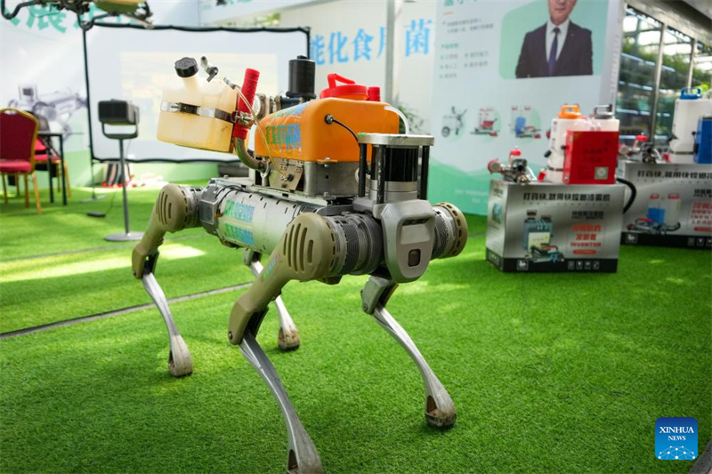 Shandong : l'agriculture autonome mise en avant lors de l'Exposition internationale des sciences et technologies végétales de Shouguang
