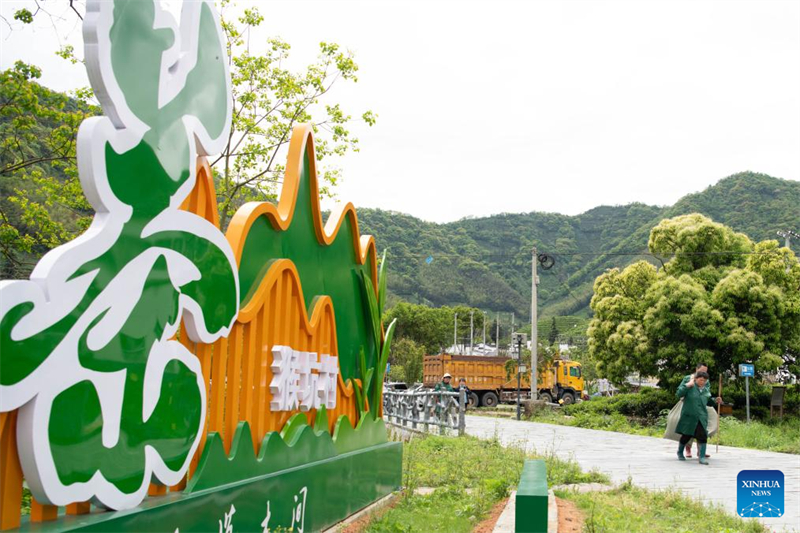 Anhui : les producteurs de thé acheminent les arômes des montagnes jusqu'aux consommateurs urbains