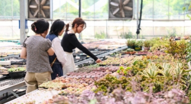 Zhejiang : Hangzhou développe des projets de tourisme culturel rural pour attirer les touristes