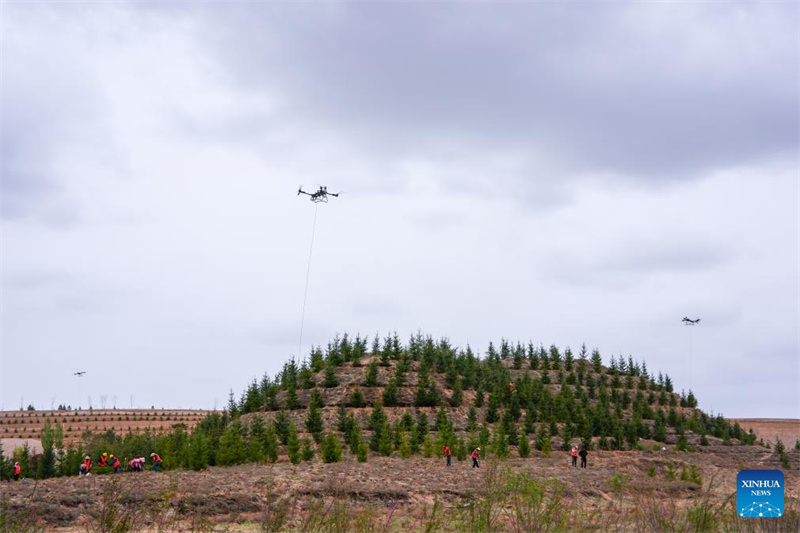 Gansu : des drones transportent des jeunes plants d'arbres pour le reboisement à Lanzhou