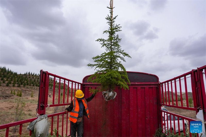 Gansu : des drones transportent des jeunes plants d'arbres pour le reboisement à Lanzhou