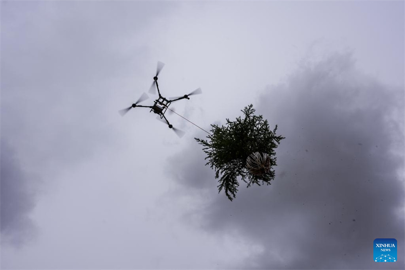 Gansu : des drones transportent des jeunes plants d'arbres pour le reboisement à Lanzhou