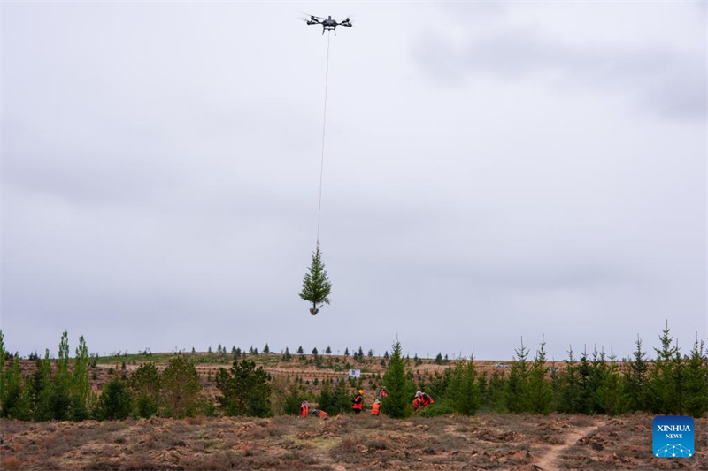 Gansu : des drones transportent des jeunes plants d'arbres pour le reboisement à Lanzhou