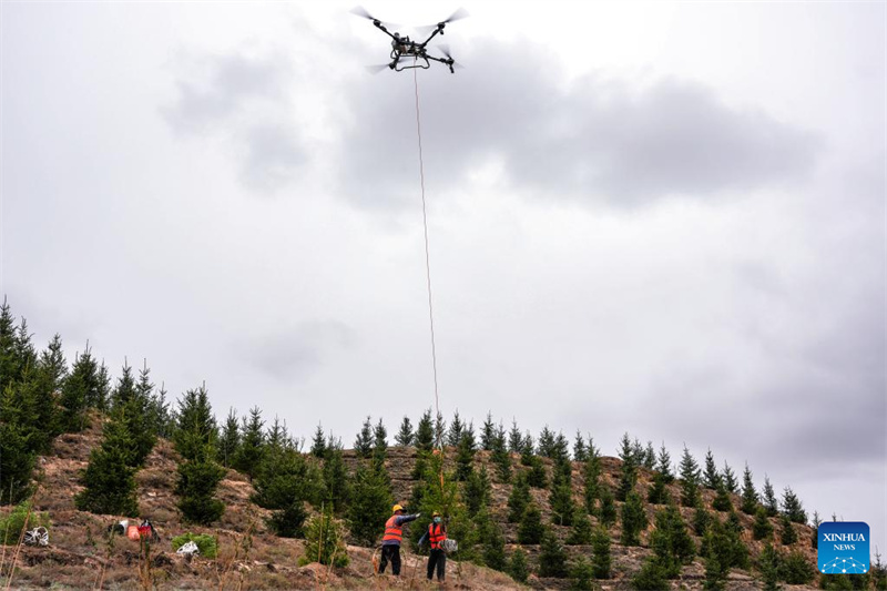 Gansu : des drones transportent des jeunes plants d'arbres pour le reboisement à Lanzhou