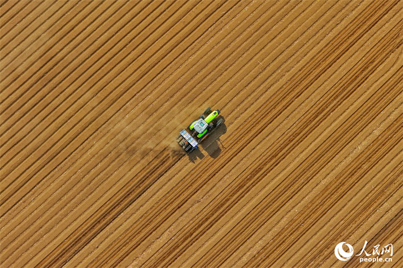 Jilin : marée de printemps et champs fertiles, les travaux de de labourage et de semailles battent leur plein